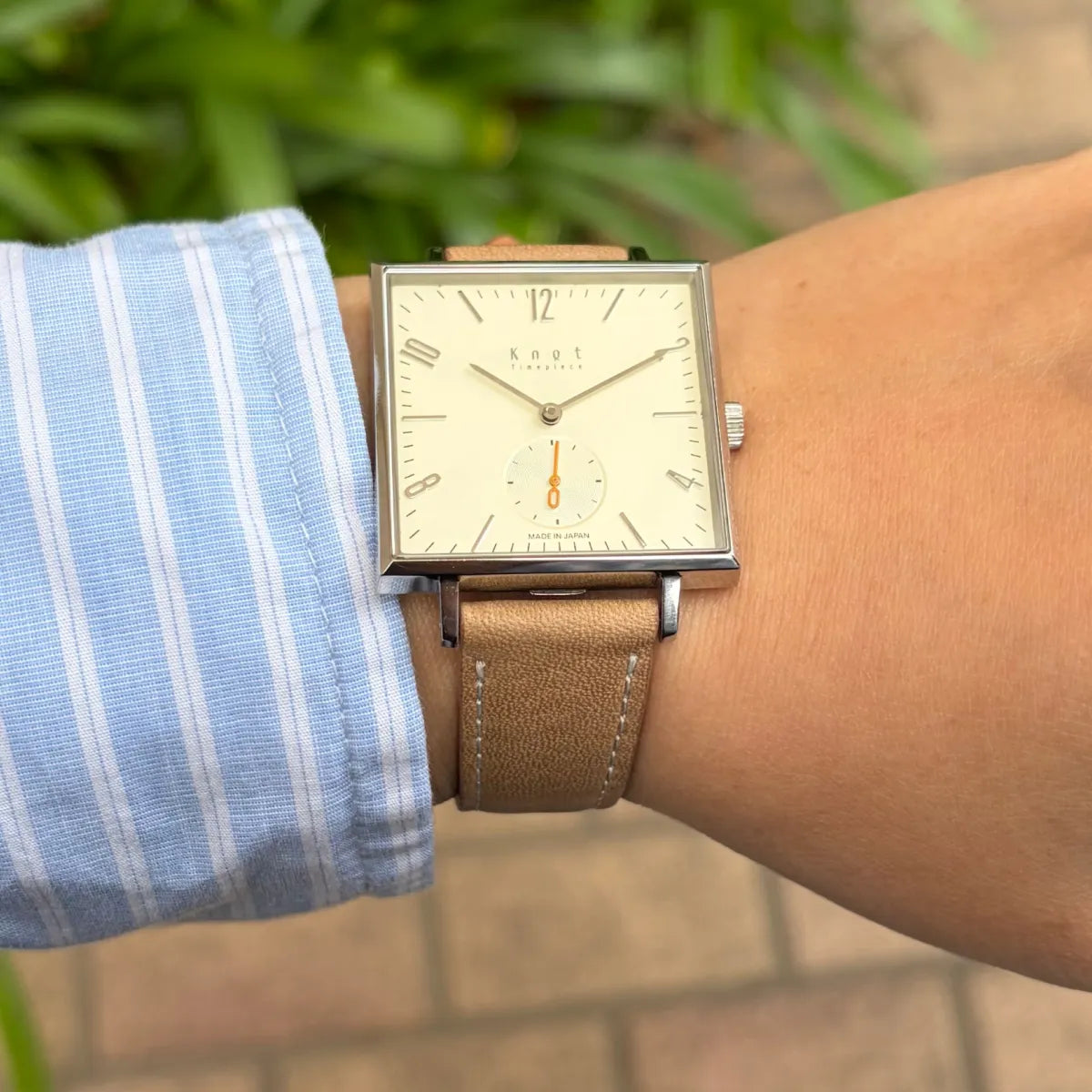 【創業感謝祭】”春におすすめ”Bセット