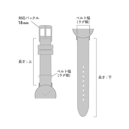 S18-SKD-IBBR