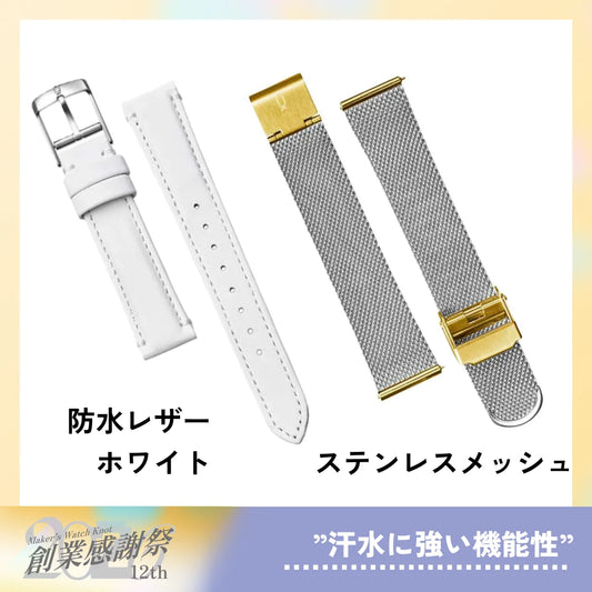 【創業感謝祭】”機能性重視”Bセット